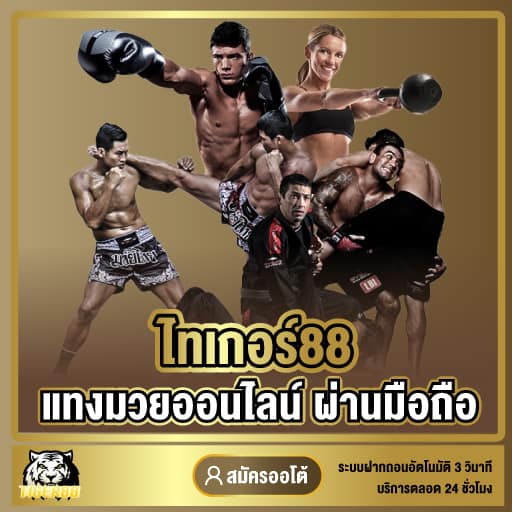 ไทเกอร์88 แทงมวยออนไลน์ ผ่านมือถือ