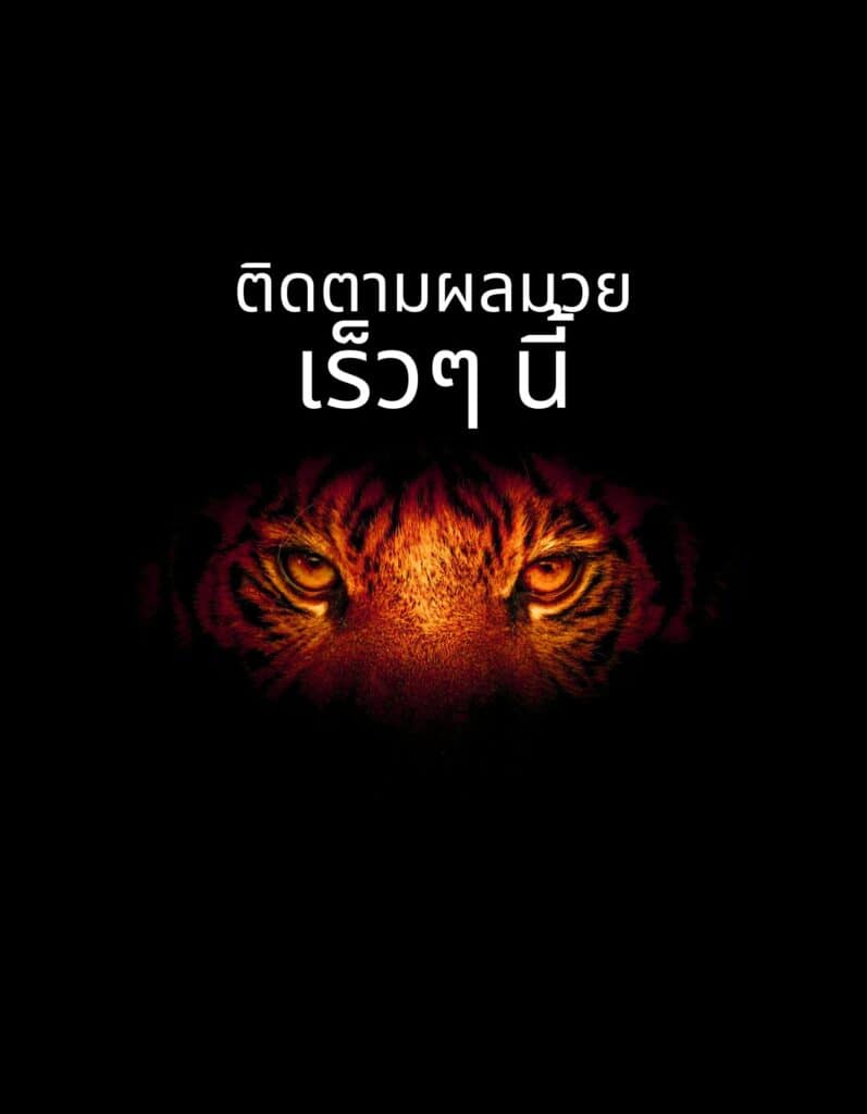 ผลมวย